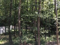 Продаж сучасного котеджу 650 кв.м з власним БОМБОСХОВИЩЕМ на 4 виходи + 17 соток, КМ Riviera Village, Вишгородський р-н, c. Лебедівка фото 15 Продаж сучасного котеджу 650 кв.м з власним БОМБОСХОВИЩЕМ на 4 виходи + 17 соток, КМ Riviera Village, Вишгородський р-н, c. Лебедівка фото 15