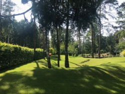 Продаж сучасного одноповерхового будинку з мансардою 322 кв.м + ділянка 44 сот. серед соснового лісу, КМ Riviera Village фото 18 Продаж сучасного одноповерхового будинку з мансардою 322 кв.м + ділянка 44 сот. серед соснового лісу, КМ Riviera Village фото 18