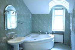 Продаж будинку 480 м² з ремонтом та меблями та власним виходом в ліс в курортній зоні Києва 'Пуща-Водиця' (с. Горенка) фото 8 Продаж будинку 480 м² з ремонтом та меблями та власним виходом в ліс в курортній зоні Києва 'Пуща-Водиця' (с. Горенка) фото 8