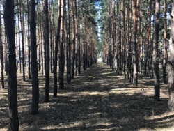 Сучасний будинок 367 кв. м на березі Дніпра в КМ Riviera Village, Вишгородський р-н, c. Лебедівка фото 8 Сучасний будинок 367 кв. м на березі Дніпра в КМ Riviera Village, Вишгородський р-н, c. Лебедівка фото 8