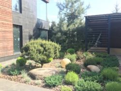   287 .   Hi-Tech     . ,  Riviera Village,  -, c.   4