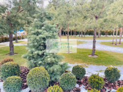 Продаж сучасного будинку 340 кв.м з ремонтом + вихід на канал Дніпра, КМ Riviera Village, Вишгородський р-н, Лебедівка фото 43 Продаж сучасного будинку 340 кв.м з ремонтом + вихід на канал Дніпра, КМ Riviera Village, Вишгородський р-н, Лебедівка фото 43