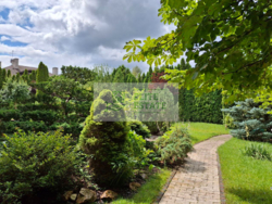 Продаж дизайнерського будинку 441 кв.м. з басейном та сауною в КМ 'Сонячна Долина', c. Романків, Обухівський р-н фото 6 Продаж дизайнерського будинку 441 кв.м. з басейном та сауною в КМ 'Сонячна Долина', c. Романків, Обухівський р-н фото 6