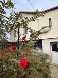 Продається будинок Тернопільська, Кременецький, Старий Вишнівець фото 2 Продається будинок Тернопільська, Кременецький, Старий Вишнівець фото 2