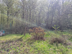 ������. ������� .������������� �-� �. ������ ���� 7