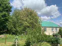 ������ ������� ��� �.����� ���� 8