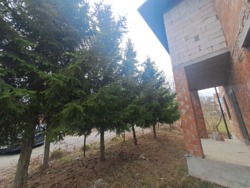 ��������� ������� �������, 2, ϳ��������, �������������, ������������ ���� 12