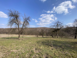 ������ ������� �. ����� ���� 21