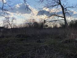 ������ ������� � �. ����� ���� 12