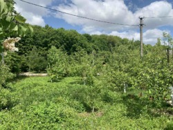 ������ ������� ��� �.����� ���� 4