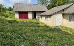 ������ 1 ����������� ������� � ������� �� 10 �����, 50 ��. �, ��������� ���� 1