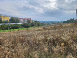 Продаж будинку, 100 кв.м, Петриків фото 1 Продаж будинку, 100 кв.м, Петриків фото 1