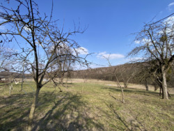 ������ ������� �. ����� ���� 19