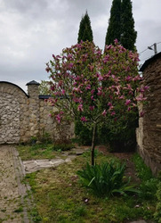 ������ ������� �.����� ���� 7