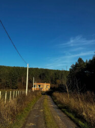 ������ ������� 170 ��.� � �������� ��������� ���� 10