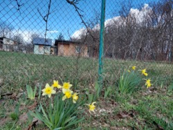 ��������� ���� 6 ��� �. ��������� ���� 25