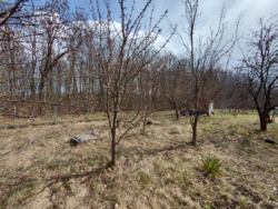 ��������� ���� 6 ��� �. ��������� ���� 11