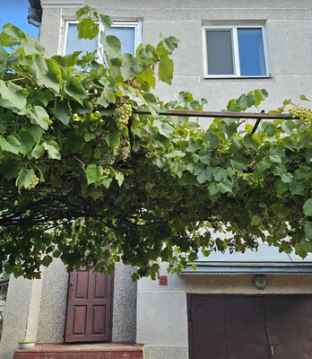 Продаж 2 поверхового будинку з ділянкою на 6 сотки, 238 кв. м, фото 18 Продаж 2 поверхового будинку з ділянкою на 6 сотки, 238 кв. м, фото 18