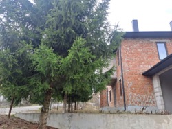 ��������� ������� �������, 2, ϳ��������, �������������, ������������ ���� 17