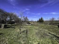 Продаж будинку с. М. Березовиця фото 30 Продаж будинку с. М. Березовиця фото 30