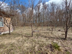 ��������� ���� 6 ��� �. ��������� ���� 20