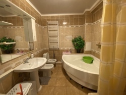 Продаж. Будинок. Тернопільський район, с.Петриків фото 11 Продаж. Будинок. Тернопільський район, с.Петриків фото 11