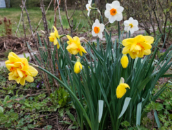 ������. ������� .������������� �-� �. ������ ���� 8