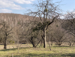 ������ ������� �. ����� ���� 20