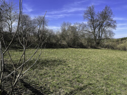 Продаж будинку с. М. Березовиця фото 26 Продаж будинку с. М. Березовиця фото 26