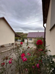 Продається будинок Тернопільська, Кременецький, Старий Вишнівець фото 13 Продається будинок Тернопільська, Кременецький, Старий Вишнівець фото 13