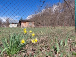 ��������� ���� 6 ��� �. ��������� ���� 24