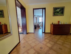 ��������� ������� ������� �� ������ 12 ���. � �������� ���� 5