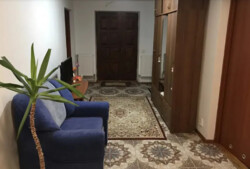  3       7 , 365 . ,   11