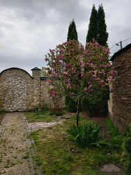 ������ ������� �.����� ���� 8