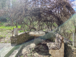 ������. ������� .������������� �-� �. ������ ���� 5