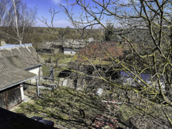 Продаж будинку с. М. Березовиця фото 23 Продаж будинку с. М. Березовиця фото 23