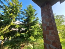 ��������� ������� �������, 2, ϳ��������, �������������, ������������ ���� 16