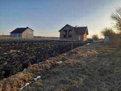 ������ ������� 203 �.��. � �. ��������� ���� 26