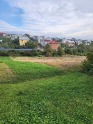 Продаж будинку, 100 кв.м, Петриків фото 2 Продаж будинку, 100 кв.м, Петриків фото 2