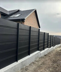 ������ ��������� ������� � �������� ���� 11