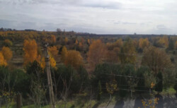 ������ �������, 450 ��.�, ϳ�������� ���� 5