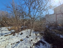 ������ ������� �.ϳ�������� ���� 14