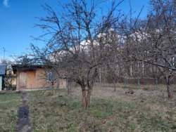 ��������� ���� 6 ��� �. ��������� ���� 12