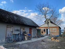 ������ ������� � �. ����� ���� 7