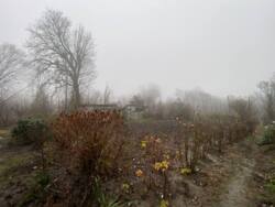 Продаж будинку площею 200 кв.м у Кременці фото 13 Продаж будинку площею 200 кв.м у Кременці фото 13