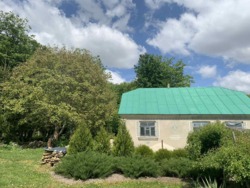 ������ ������� ��� �.����� ���� 7