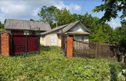 ������ 1 ����������� ������� � ������� �� 10 �����, 50 ��. �, ��������� ���� 5