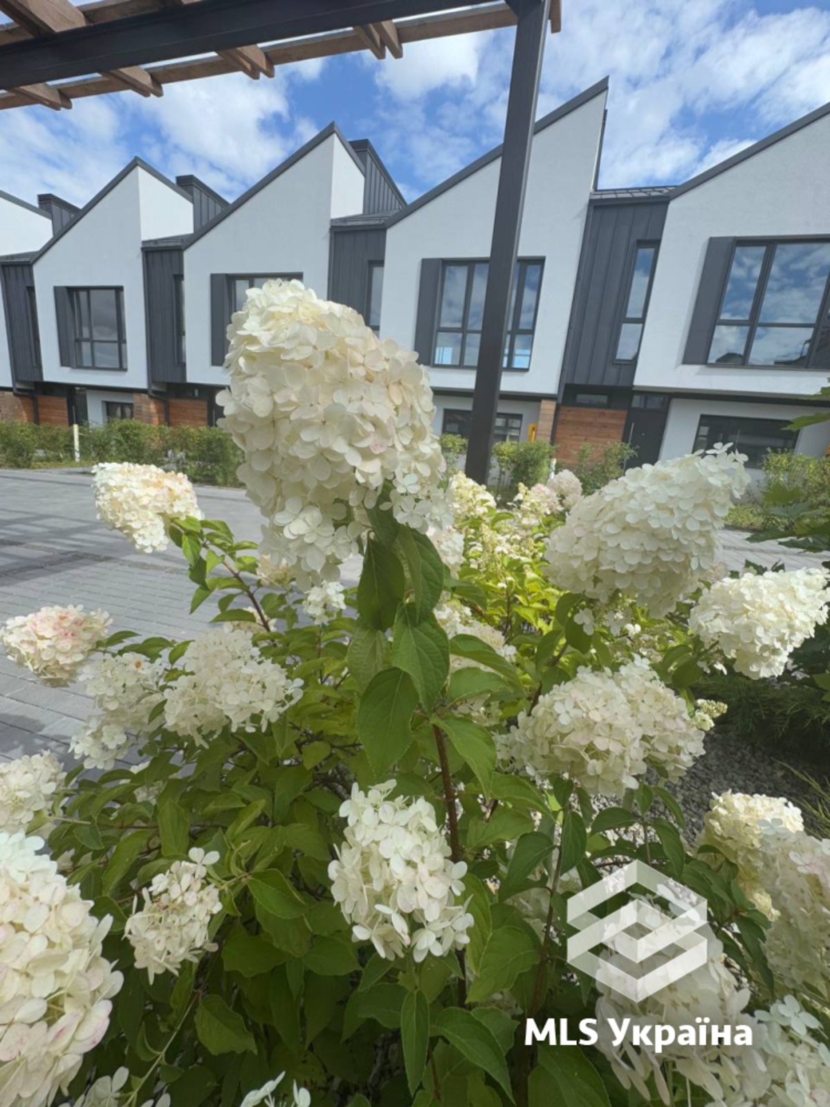 🌿 ̳ Smart&Green   ,  .  1