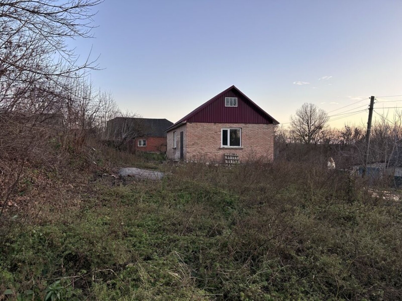 🌳 ���� �������� ���������� �� 25 ������: ������, ������� �� �����������! ���� 1