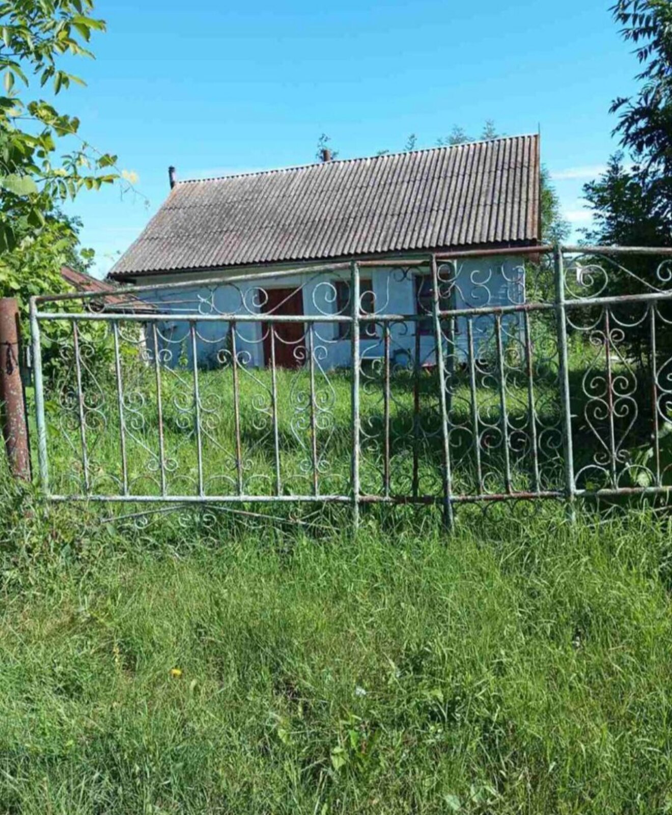 🌾 ��������� ������ 0,5 �� � ˳����� ��������� ���� 1